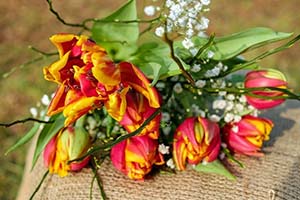 Women day in Lithuania is commemorated by giving flowers to women