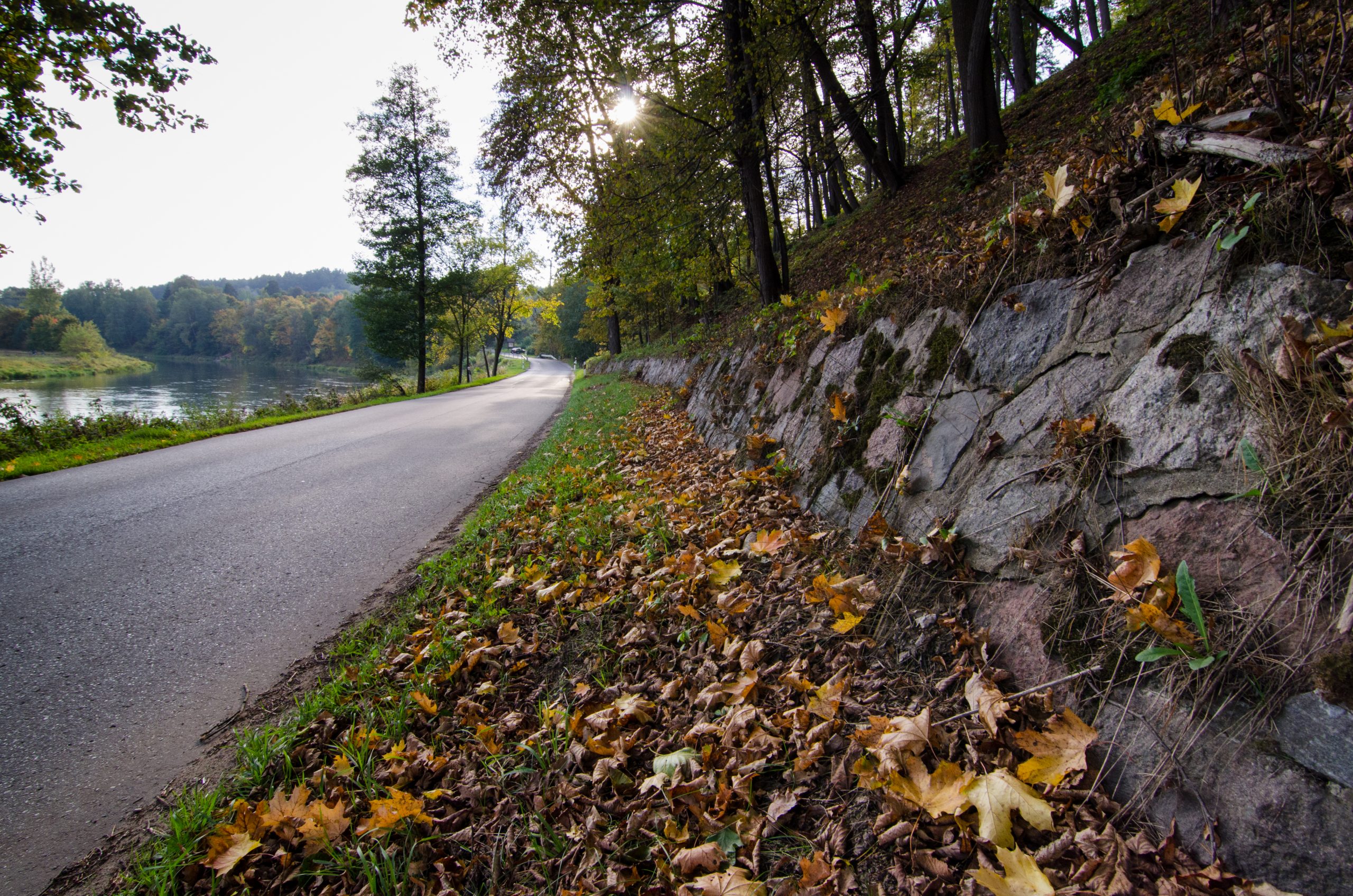 Take a nice walk in autumn in Vilnius